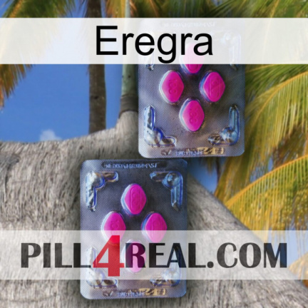 Eregra 01